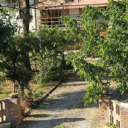 Fondo Bosco